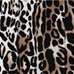 Animal Print 14