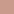 Cameo Rose 41