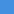 Blue Aster 651