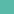 Peacock 755